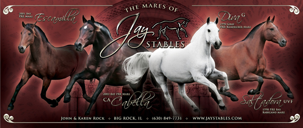 banner graphics
